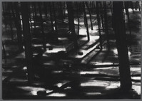 KT 2011 069
<br/>
Project Preserved Places. Charred landscape (I)
<br/>
<em>Mens, Carlijn (1972)</em>